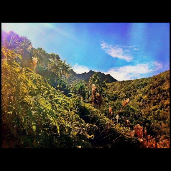 Meet your Posher, SJ - Picture 1 of 1